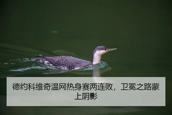 de-yue-ke-wei-qi-wen-wang-re-shen-sai-liang-lian-bai-wei-mian-zhi-lu-meng-shang-yin-ying-2-378.jpg