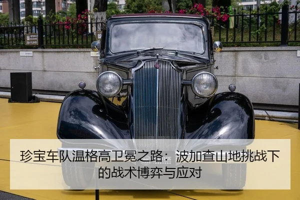 zhen-bao-che-dui-wen-ge-gao-wei-mian-zhi-lu-bo-jia-cha-shan-di-tiao-zhan-xia-de-zhan-shu-bo-yi-yu-ying-dui-2-529.jpg